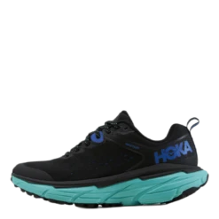 Hoka One One Challenger ATR 6 GTX Black