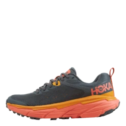 Hoka One One W Challenger Atr 6 Castlerock / Camellia